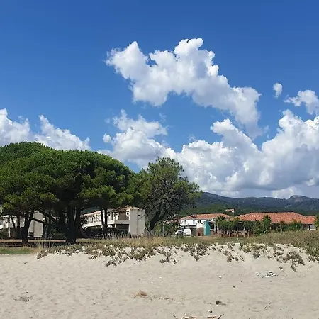 Appartement La Corse Les Pieds Dans L'eau A 2 Min De La Plage *