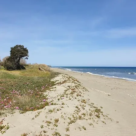 La Corse Les Pieds Dans L'eau A 2 Min De La Plage Appartement *